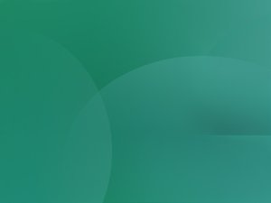 功能开关